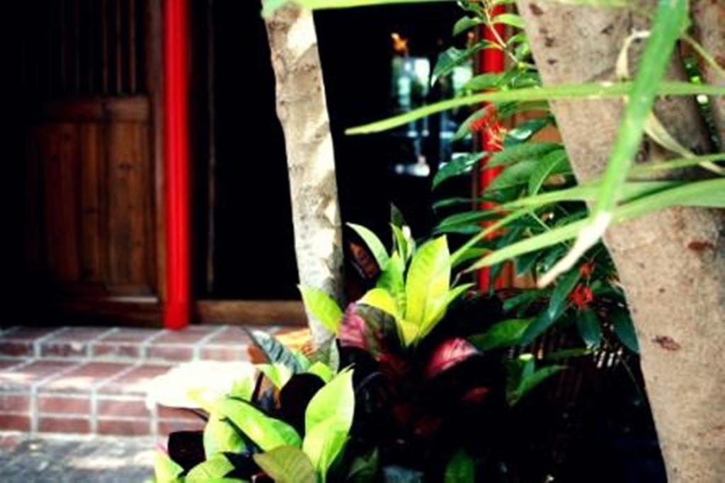 Rainforest Bed & Breakfast Kuala Lumpur Eksteriør bilde