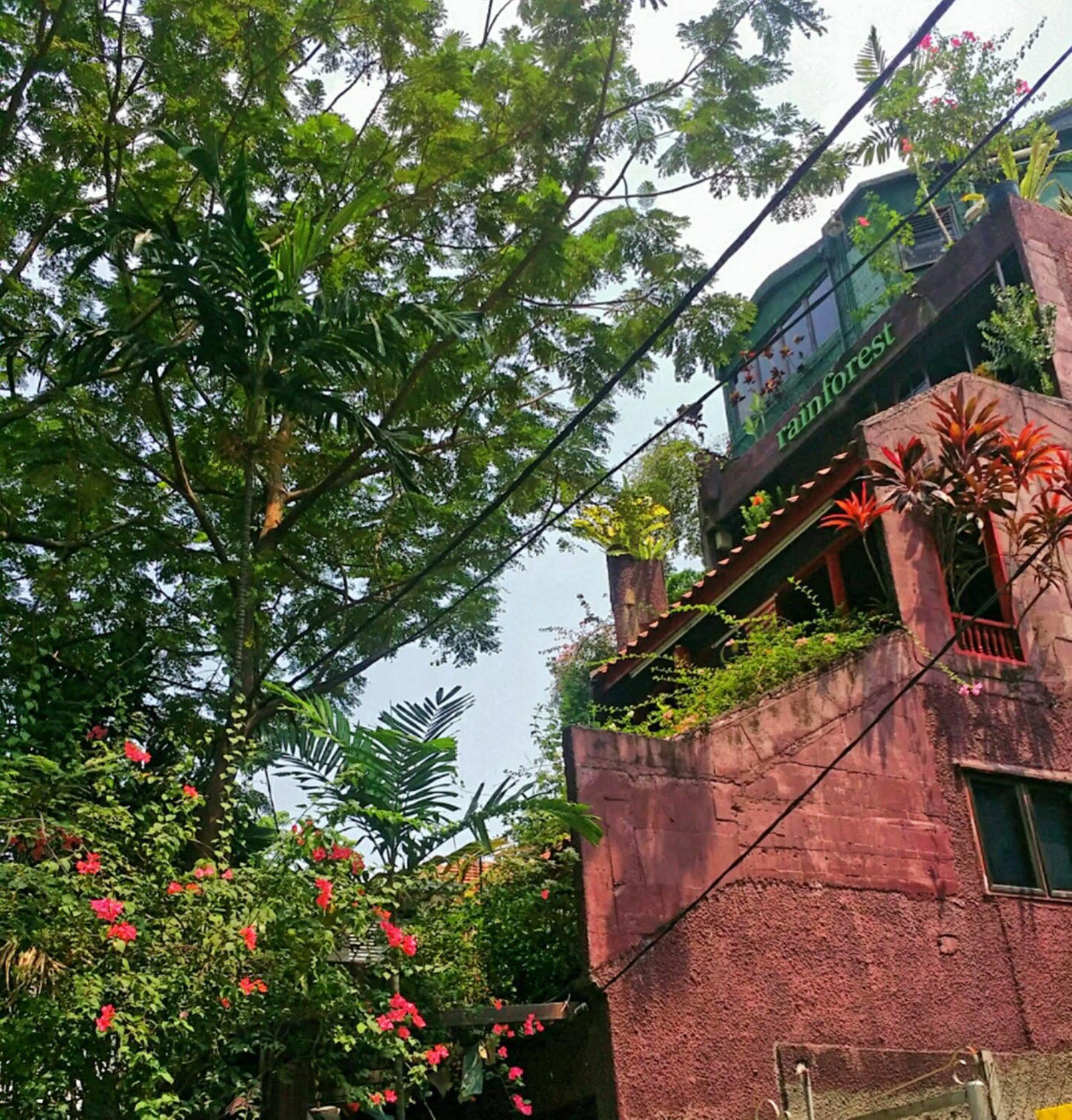 Rainforest Bed & Breakfast Kuala Lumpur Eksteriør bilde