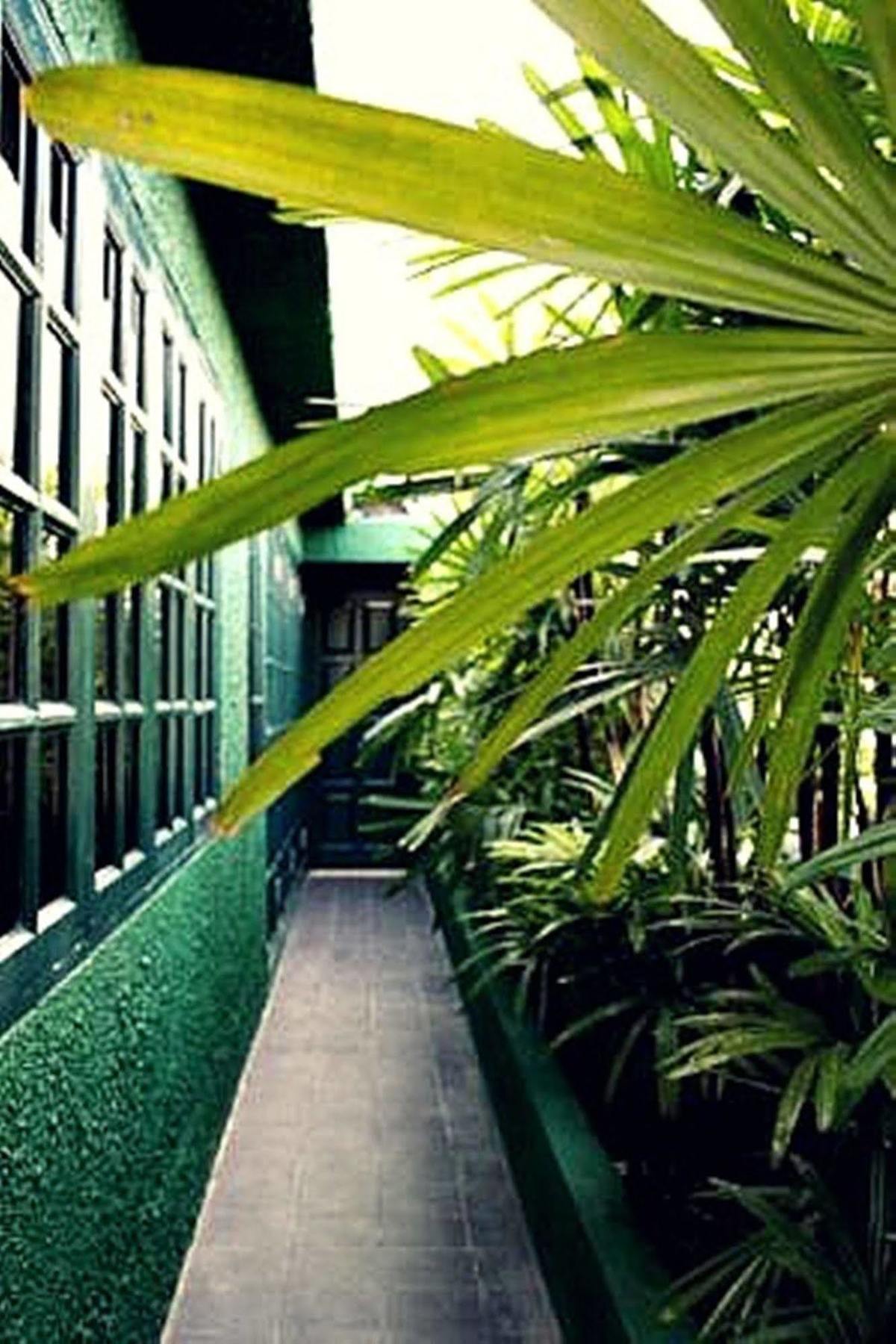 Rainforest Bed & Breakfast Kuala Lumpur Eksteriør bilde